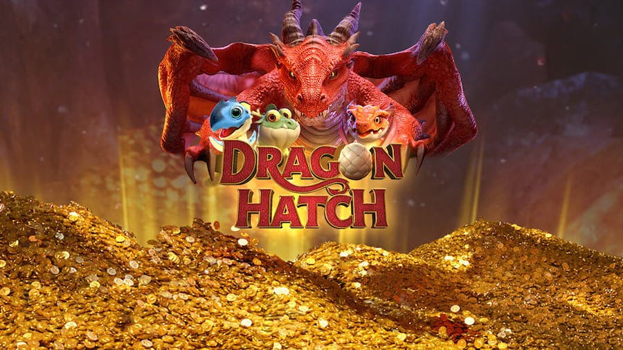 coolcat casino 100 free spins